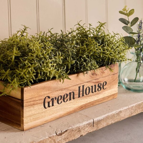 Green House Plant Trough