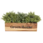 green house plant trough