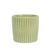 green house large plant pot